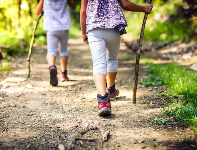 children walking in woodland