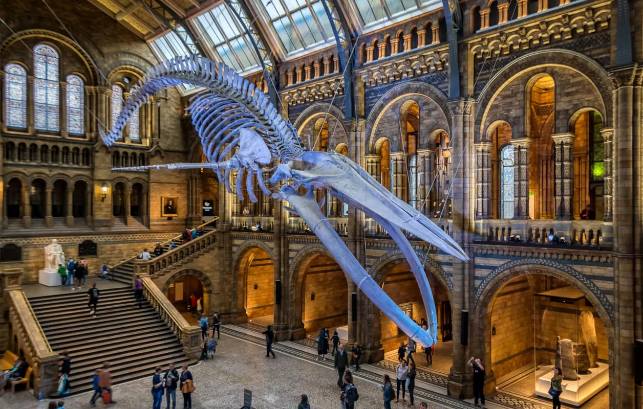 Hull Trains destination London Natural History Museum