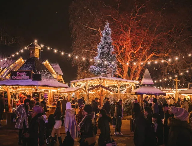 Winter Wonderland Hull Trains