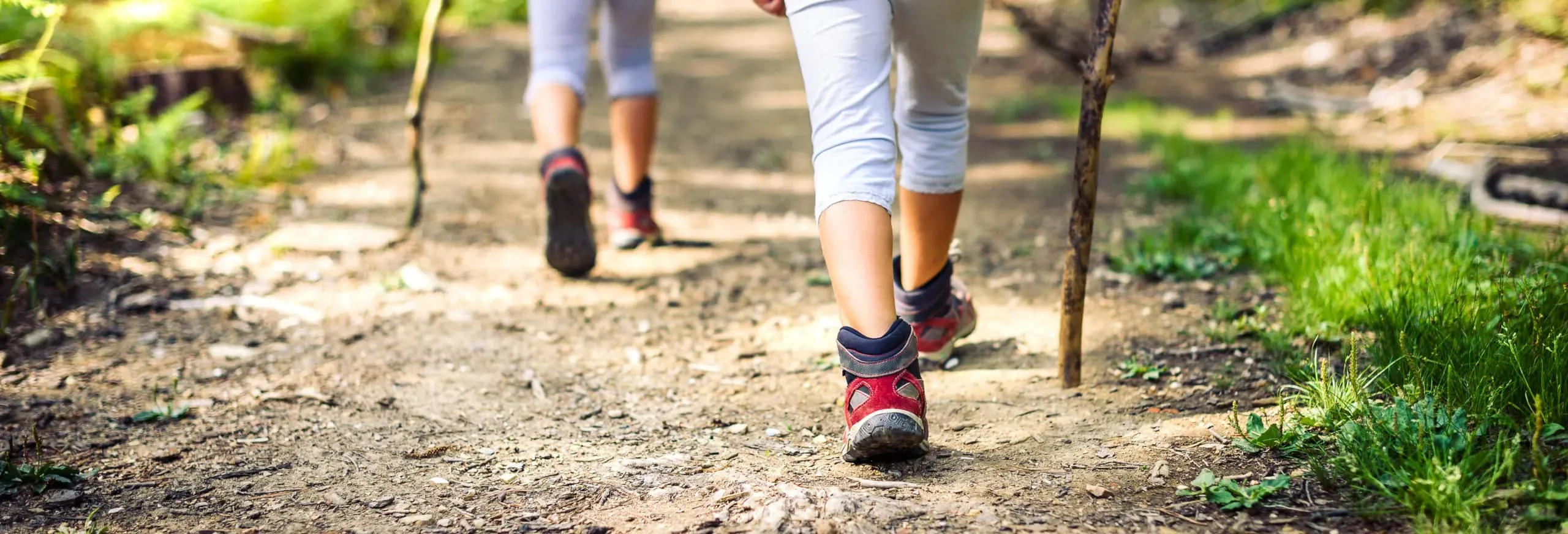 Days out in Retford Hull Trains