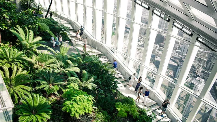 The interior of the Sky Garden in London